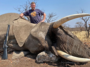 Botswana Discounted Elephant Trophy